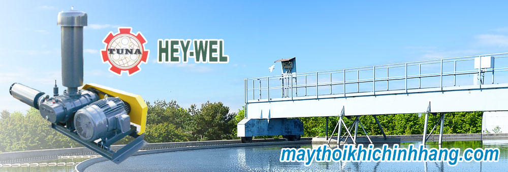 Máy thổi khí Heywel